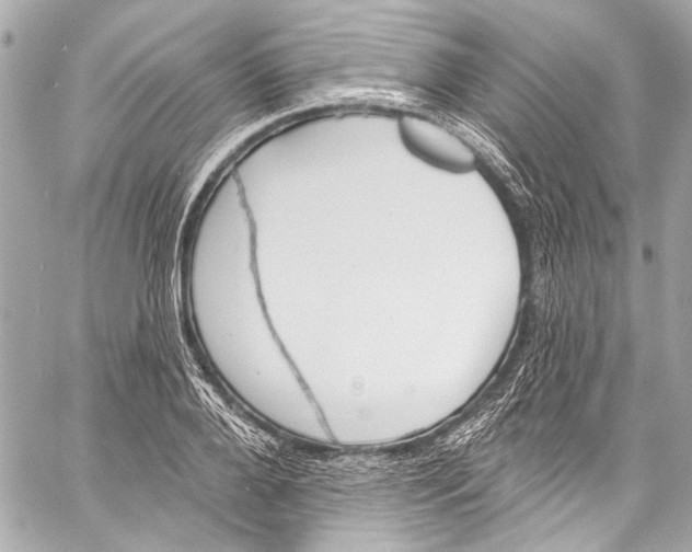 X0000057070888200510071429