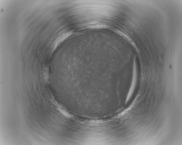 X0000057070889200510071429