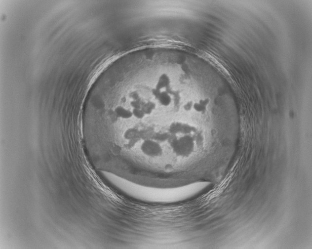 X0000057070891200510071429