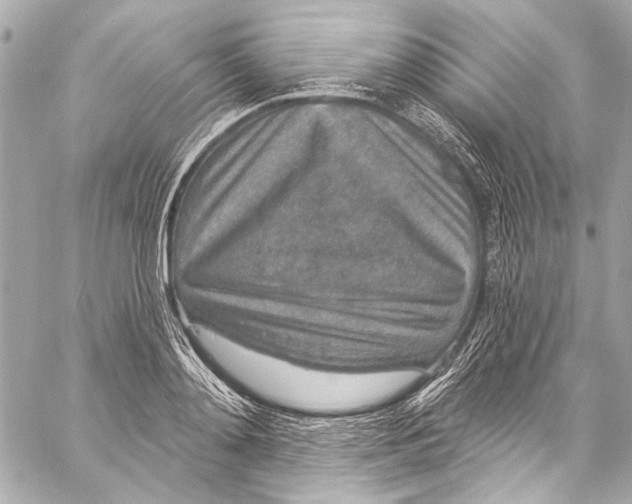 X0000057070892200510071429