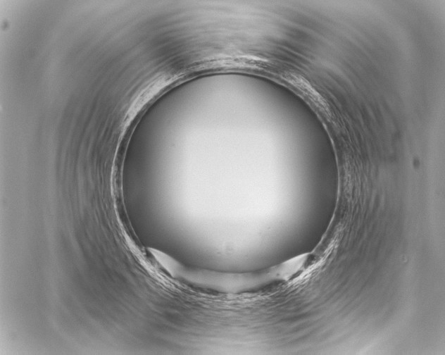 X0000057070893200510071429