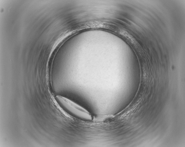 X0000057070894200510071429