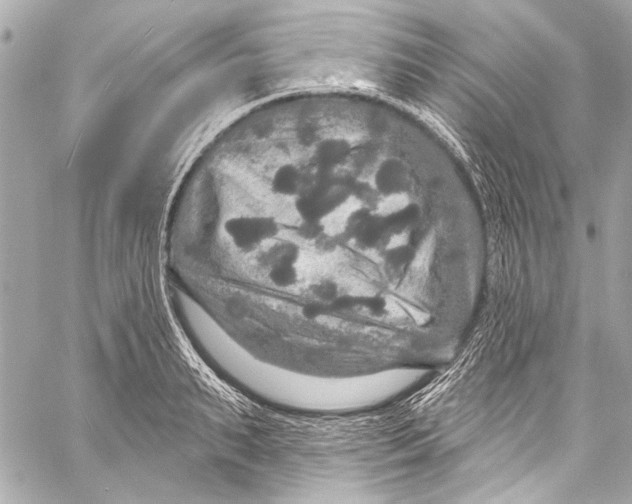 X0000057070895200510071429