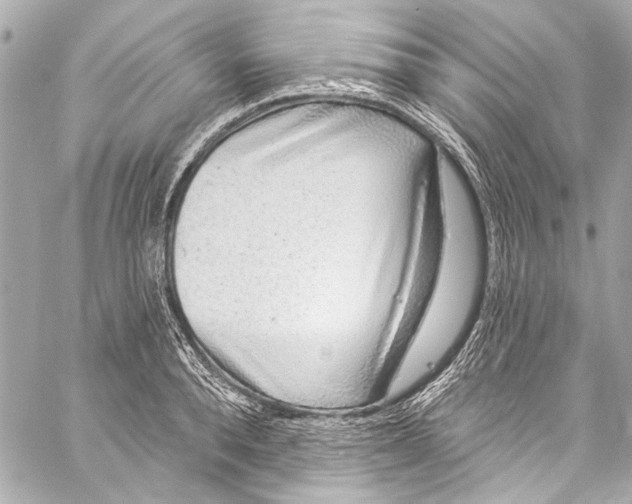 X0000057070896200510071429