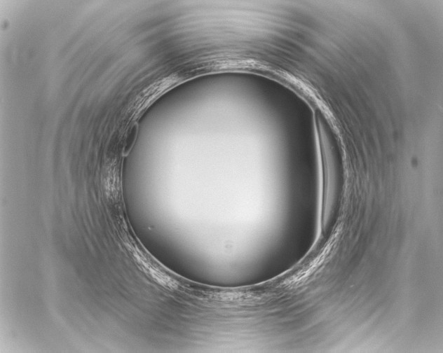 X0000057070897200510071429