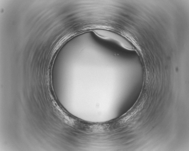 X0000057070898200510071429