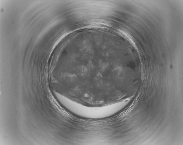 X0000057070899200510071429