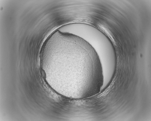 X0000057070900200510071429