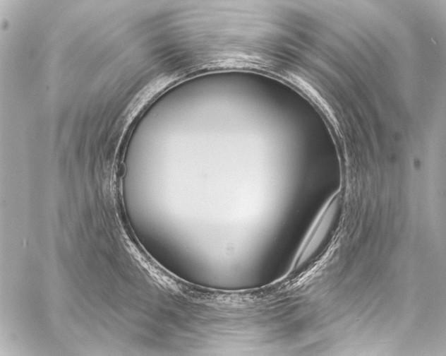 X0000057070901200510071429