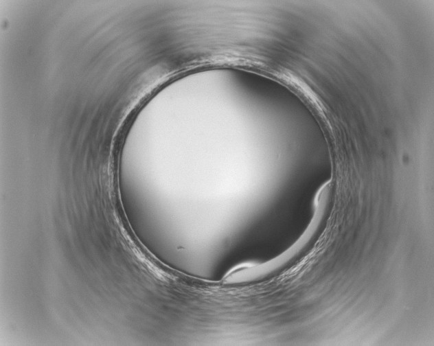 X0000057070902200510071429