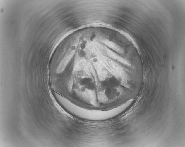 X0000057070903200510071429