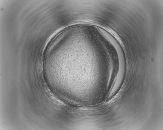 X0000057070904200510071429