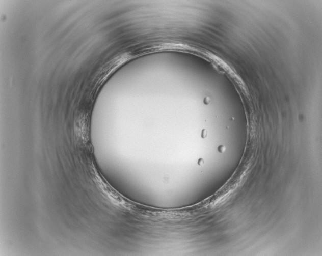 X0000057070905200510071429