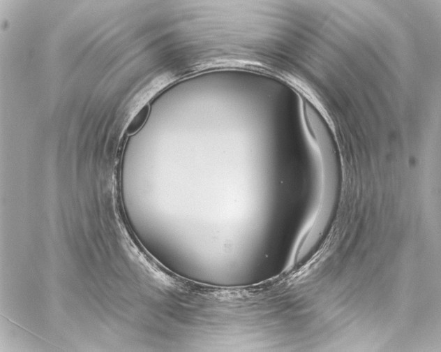 X0000057070906200510071429