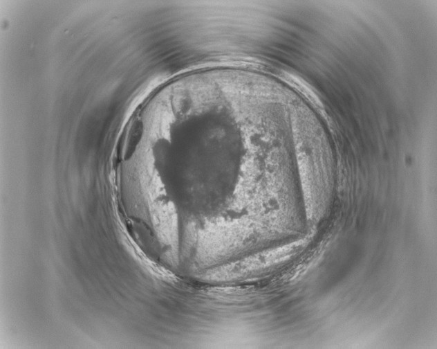 X0000057070907200510071429