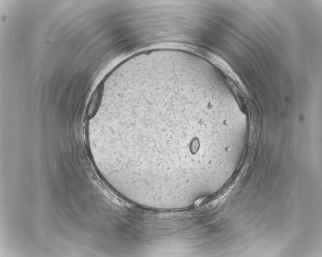 X0000057070908200510071429