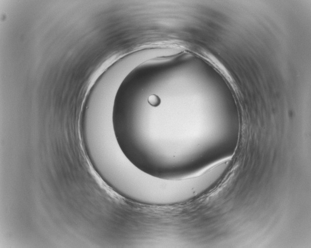 X0000057070909200510071429