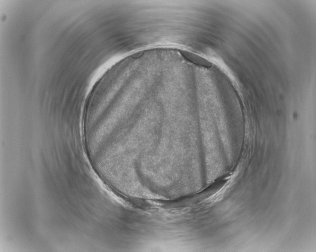 X0000057070910200510071429