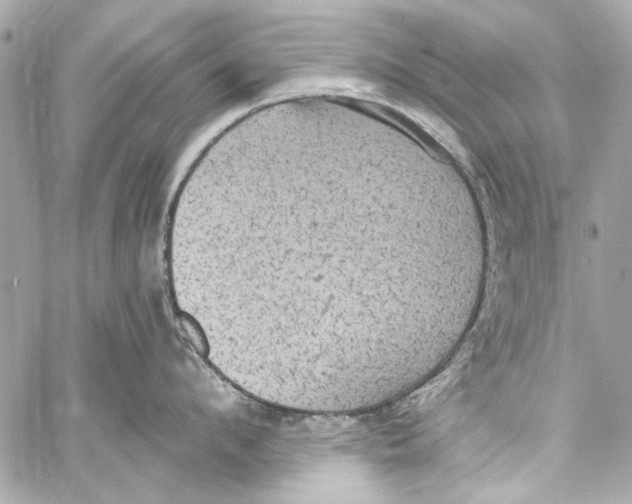 X0000057070912200510071429