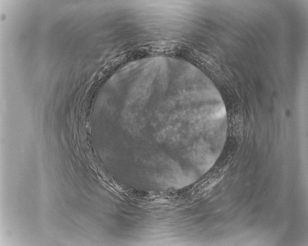 X0000057070913200510071428