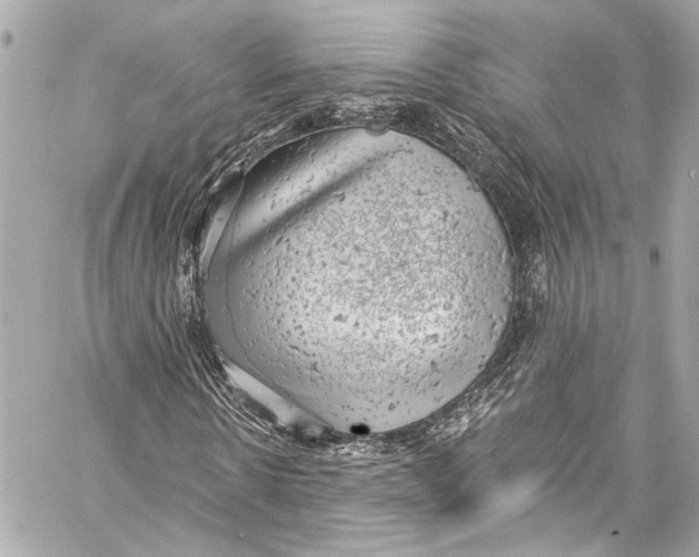 X0000057070914200510071428