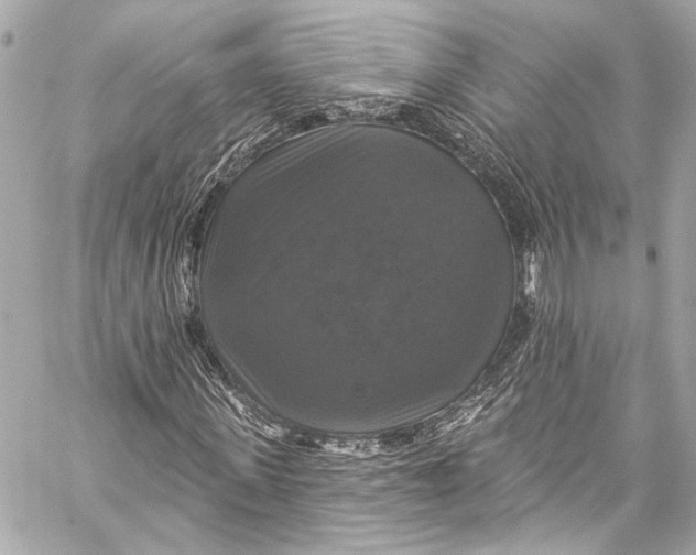 X0000057070915200510071428