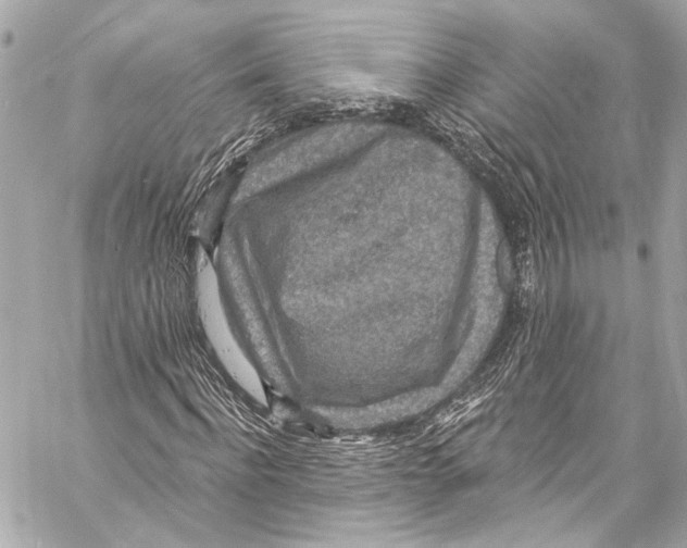 X0000057070916200510071428