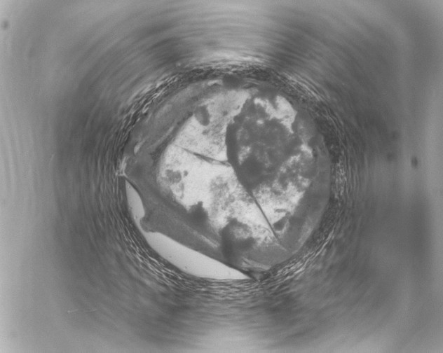 X0000057070917200510071428