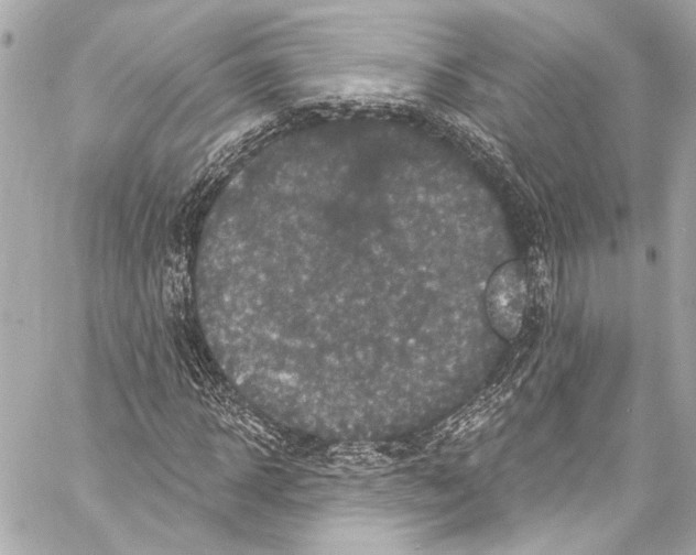 X0000057070918200510071428