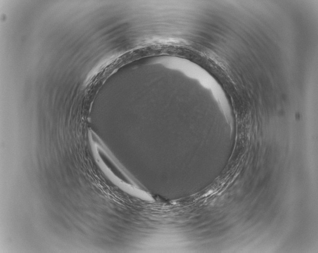 X0000057070919200510071428