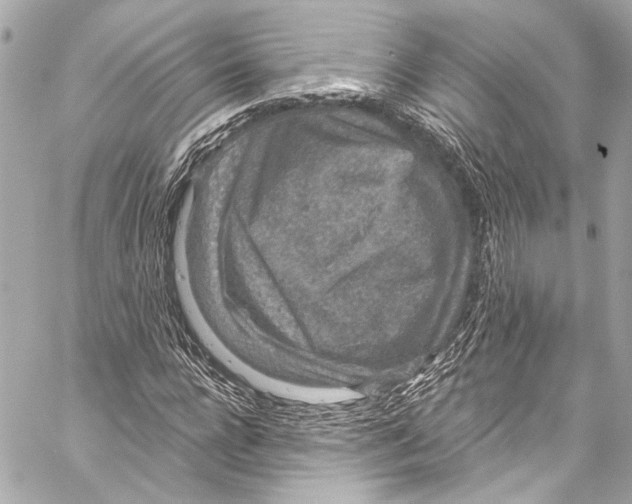 X0000057070920200510071428