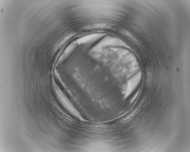 X0000057070921200510071428