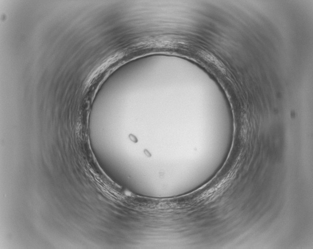 X0000057070922200510071428