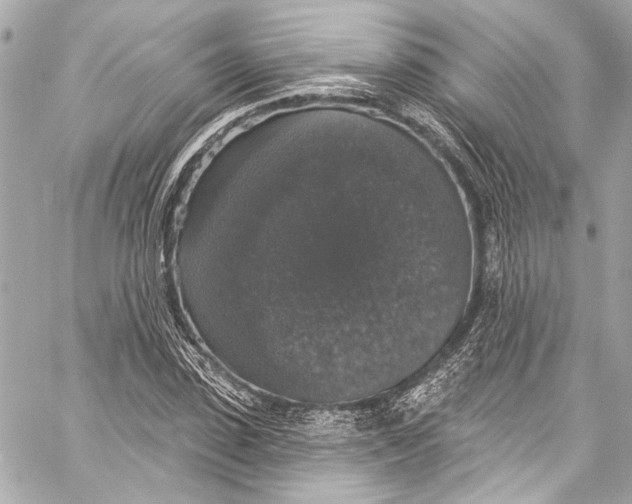 X0000057070923200510071428