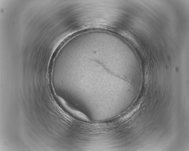 X0000057070924200510071428