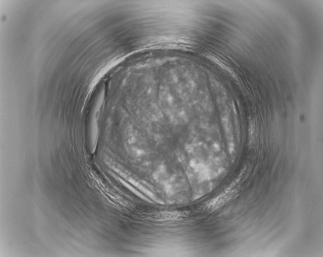 X0000057070925200510071428