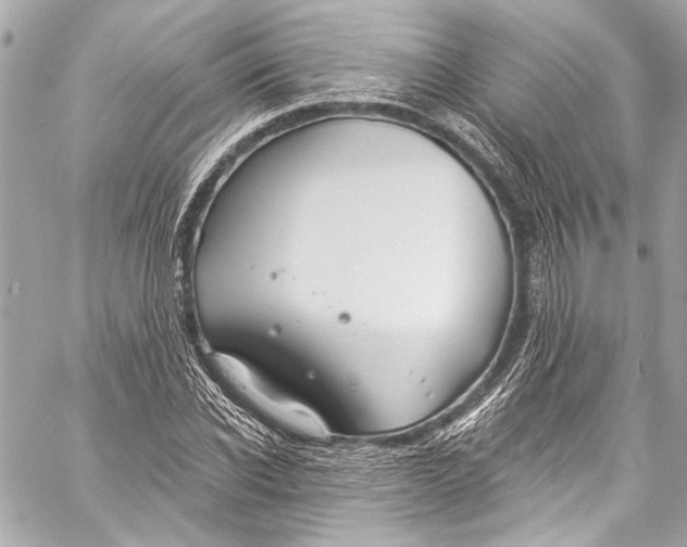 X0000057070926200510071428