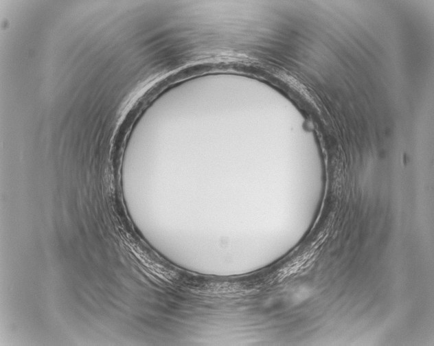 X0000057070927200510071428