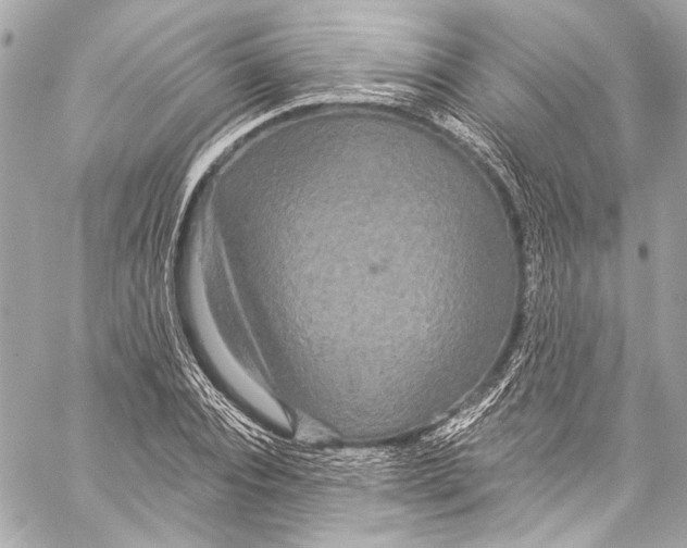 X0000057070928200510071428