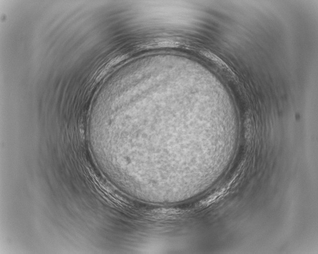 X0000057070929200510071428