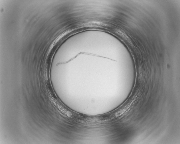 X0000057070931200510071429