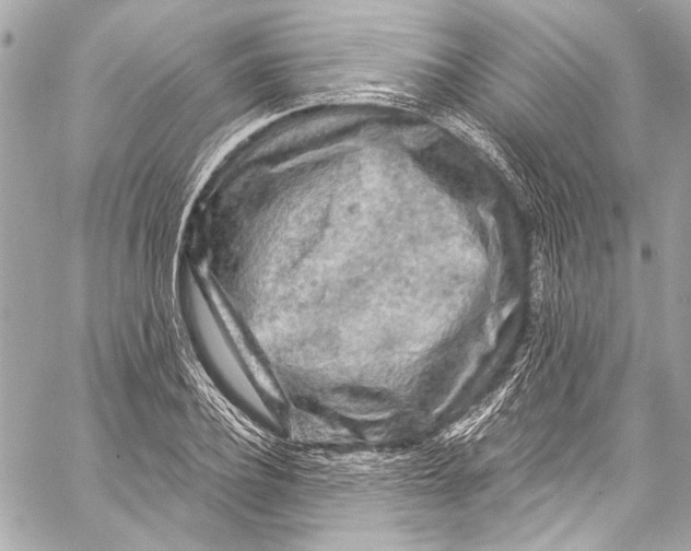 X0000057070932200510071429