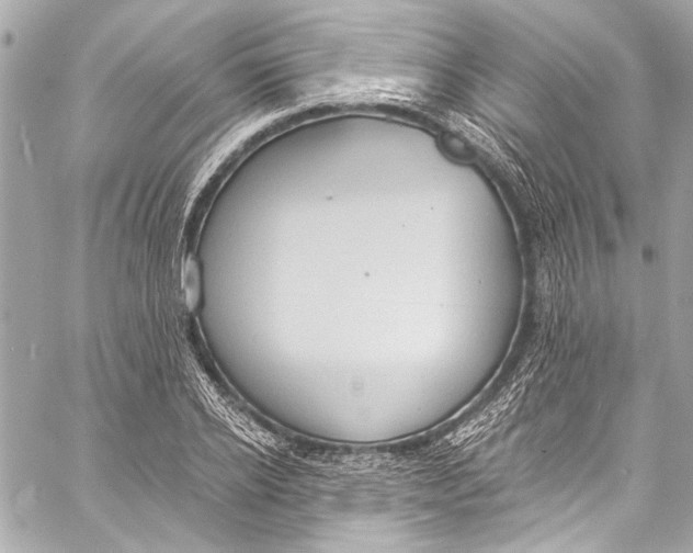 X0000057070934200510071429