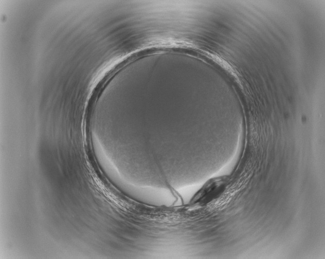 X0000057070935200510071429