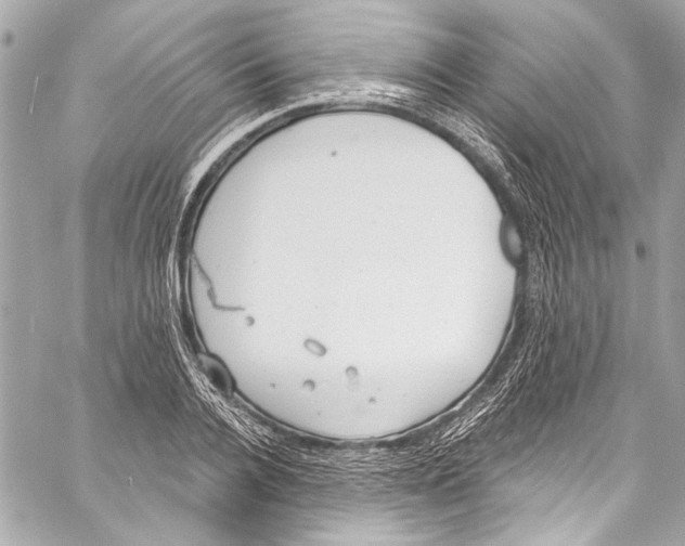 X0000057070936200510071429