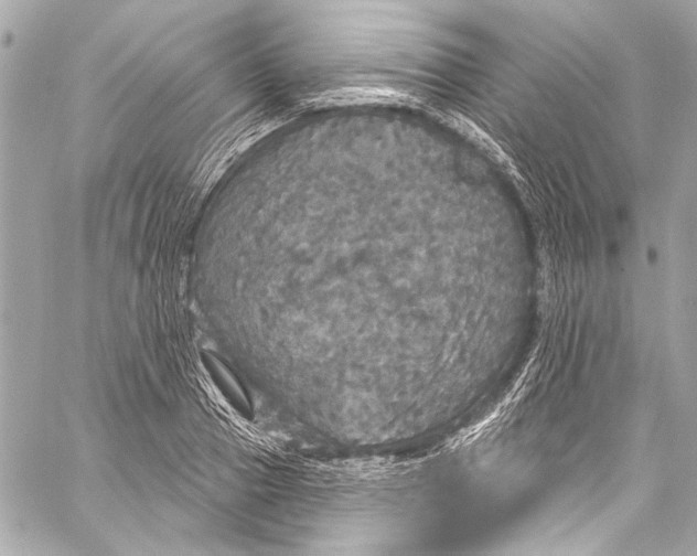 X0000057070937200510071429