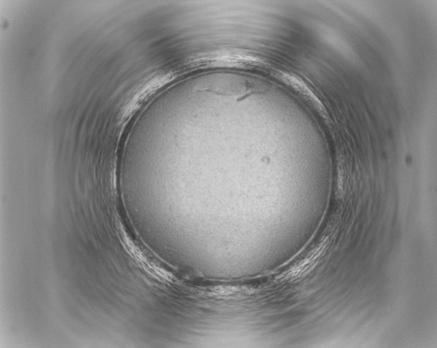 X0000057070938200510071429