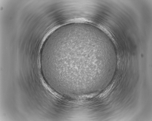 X0000057070939200510071429