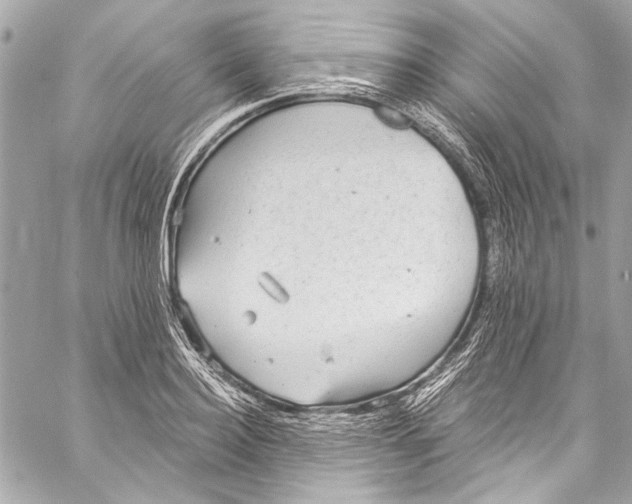 X0000057070940200510071429