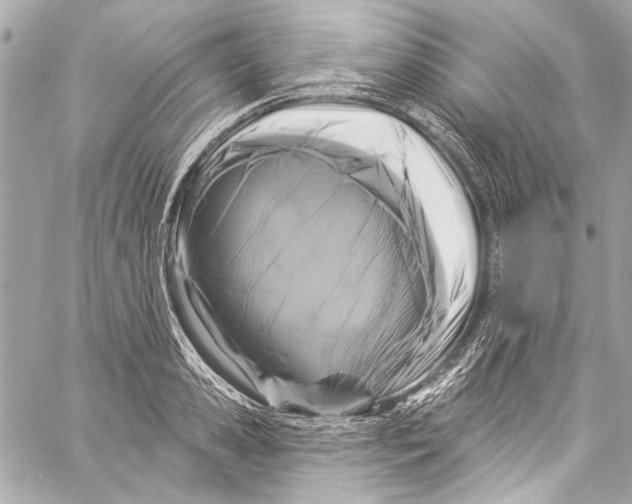 X0000057070941200510071429